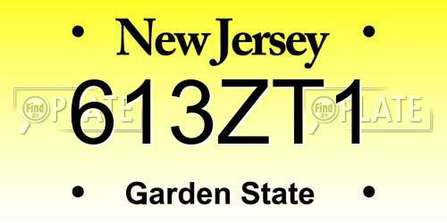 613ZT1 New Jersey License Plate