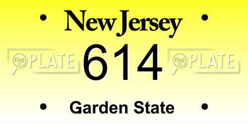614 New Jersey License Plate