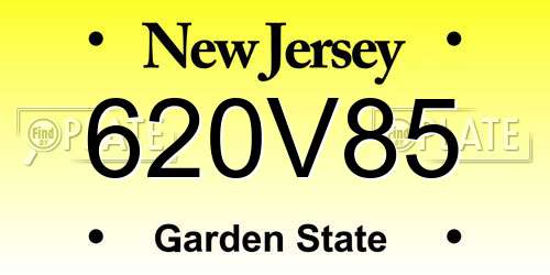 620V85 New Jersey License Plate