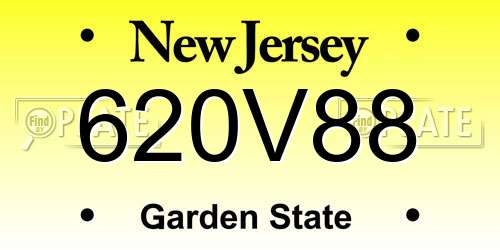 620V88 New Jersey License Plate