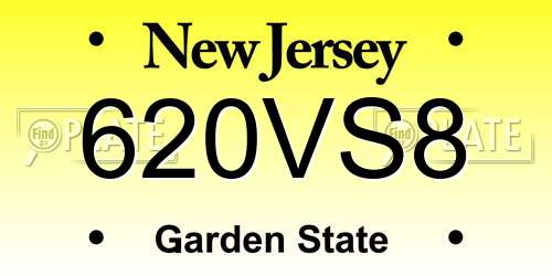 620VS8 New Jersey License Plate