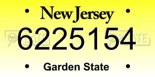 6225154 New Jersey License Plate