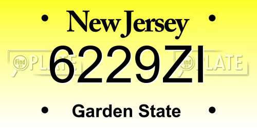 6229ZI New Jersey License Plate