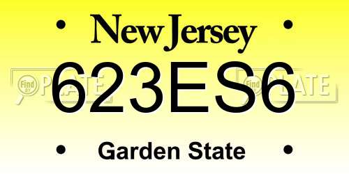 623ES6 New Jersey License Plate