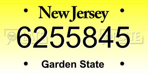 6255845 New Jersey License Plate