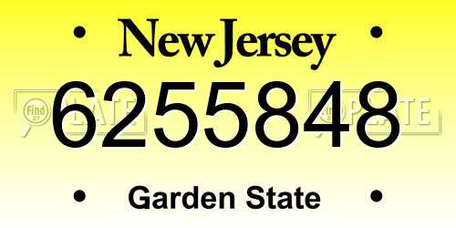 6255848 New Jersey License Plate