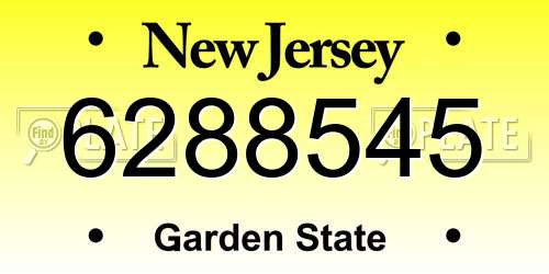 6288545 New Jersey License Plate