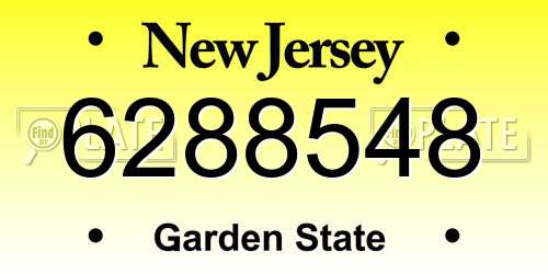 6288548 New Jersey License Plate