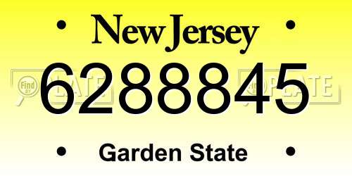6288845 New Jersey License Plate