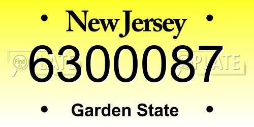 6300087 New Jersey License Plate