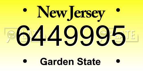 6449995 New Jersey License Plate