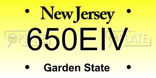 650EIV New Jersey License Plate