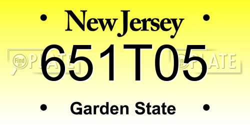 651T05 New Jersey License Plate