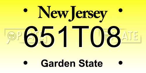651T08 New Jersey License Plate