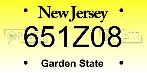 651Z08 New Jersey License Plate