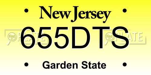655DTS New Jersey License Plate