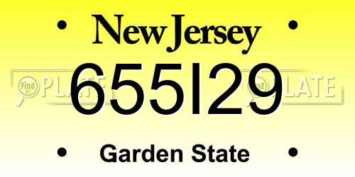 655I29 New Jersey License Plate