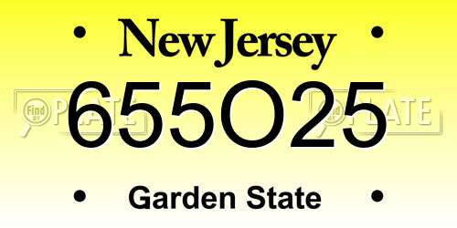 655O25 New Jersey License Plate