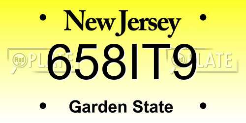 658IT9 New Jersey License Plate