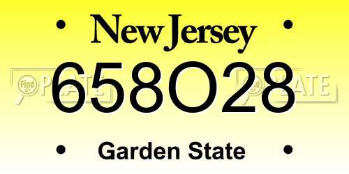 658O28 New Jersey License Plate