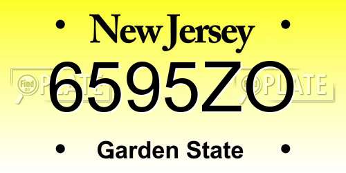 6595ZO New Jersey License Plate