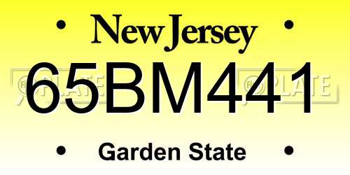 65BM441 New Jersey License Plate