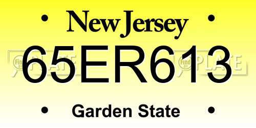 65ER613 New Jersey License Plate
