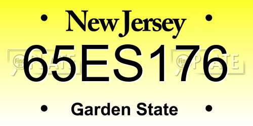 65ES176 New Jersey License Plate