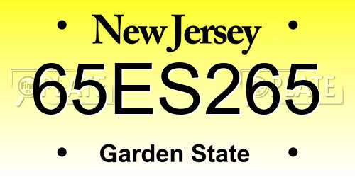 65ES265 New Jersey License Plate
