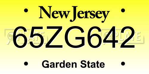 65ZG642 New Jersey License Plate