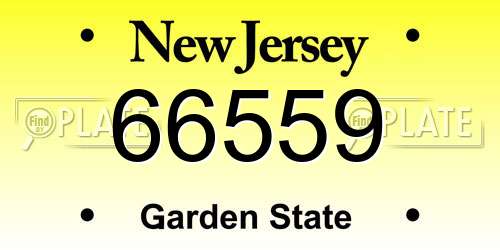 66559 New Jersey License Plate