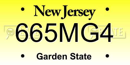 665MG4 New Jersey License Plate