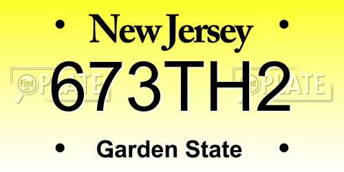 673TH2 New Jersey License Plate