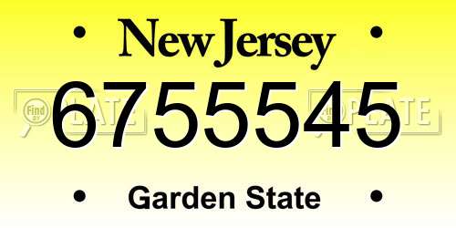 6755545 New Jersey License Plate