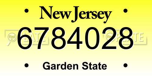6784028 New Jersey License Plate