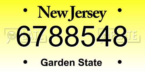 6788548 New Jersey License Plate