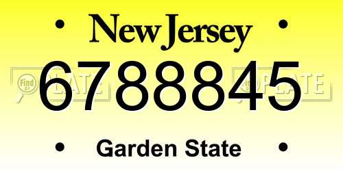 6788845 New Jersey License Plate