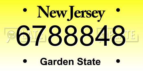 6788848 New Jersey License Plate