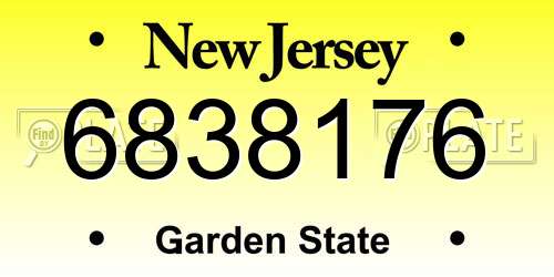 6838176 New Jersey License Plate