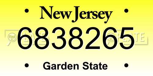 6838265 New Jersey License Plate