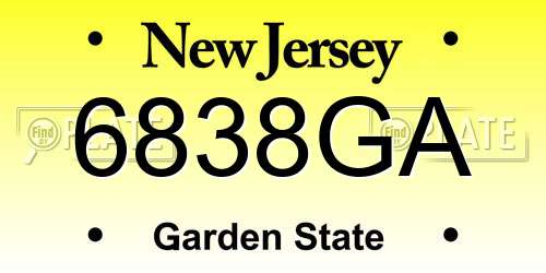6838GA New Jersey License Plate