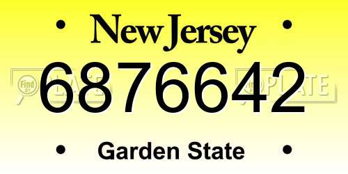 6876642 New Jersey License Plate