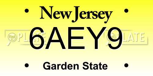6AEY9 New Jersey License Plate