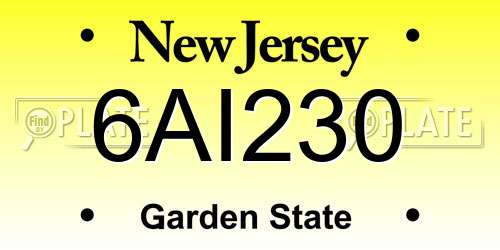 6AI230 New Jersey License Plate