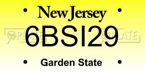 6BSI29 New Jersey License Plate