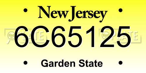 6C65125 New Jersey License Plate