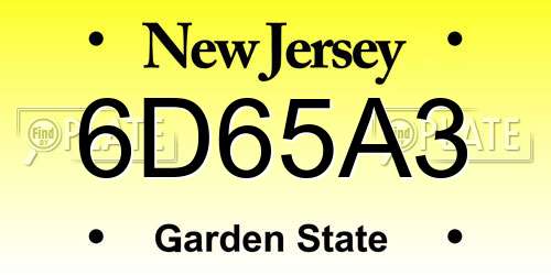 6D65A3 New Jersey License Plate