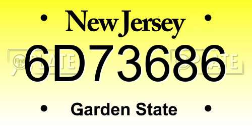 6D73686 New Jersey License Plate