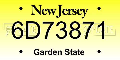 6D73871 New Jersey License Plate