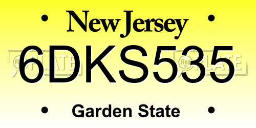 6DKS535 New Jersey License Plate